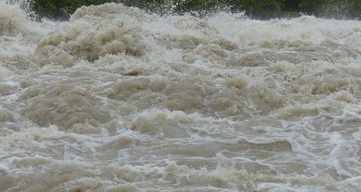 7 plataformas para pedir y ofrecer ayuda por la DANA de Valencia