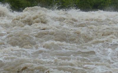7 plataformas para pedir y ofrecer ayuda por la DANA de Valencia