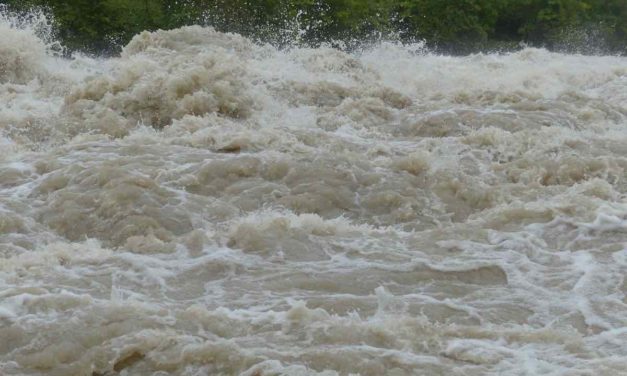 7 plataformas para pedir y ofrecer ayuda por la DANA de Valencia