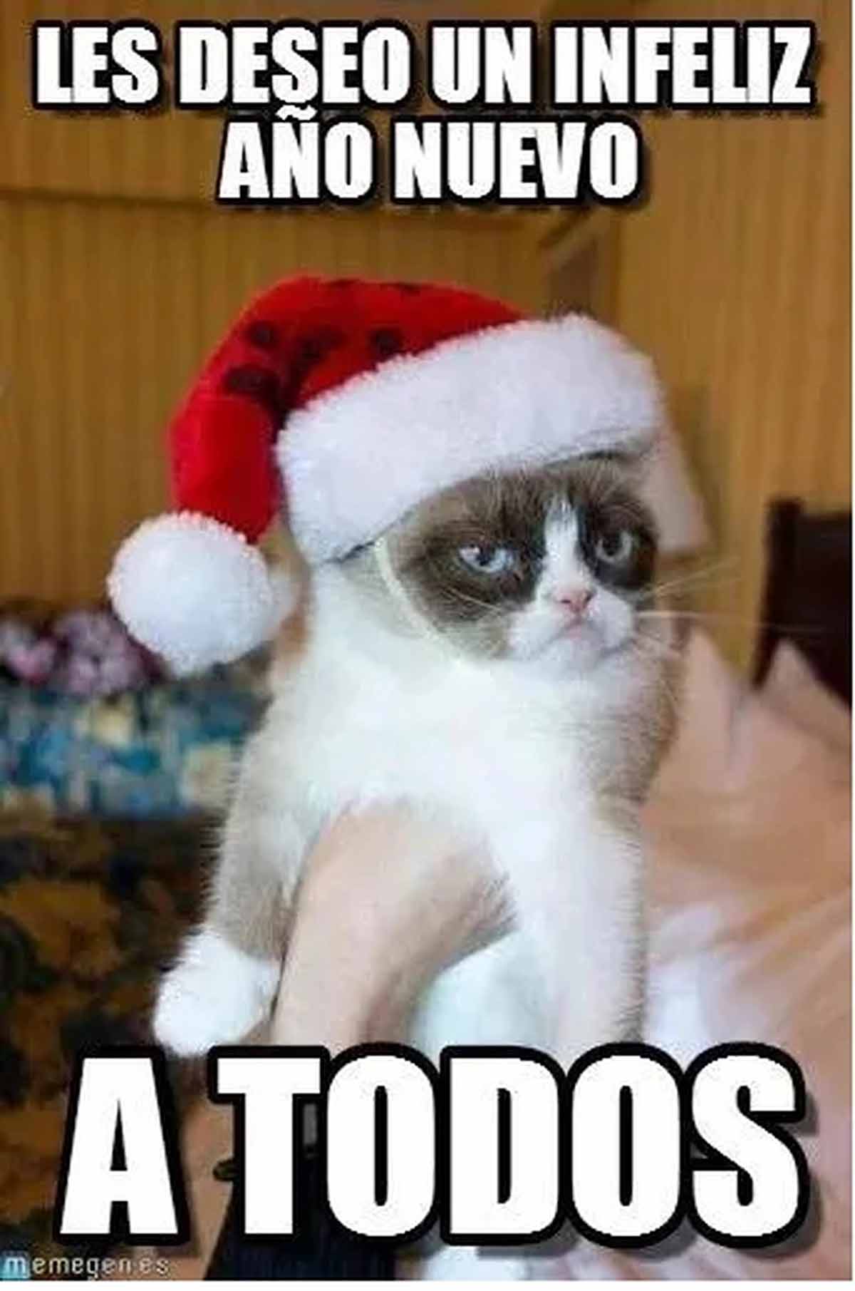 72 mensajes, memes y GIF bonitos y divertidos para felicitar la Nochevieja de 2024 21 año nuevo gato