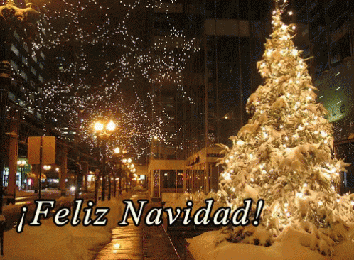 40 GIF y memes de felicitaciones de Navidad para WhatsApp 7 b43f07d5237c9c8a026ad037853ce46a