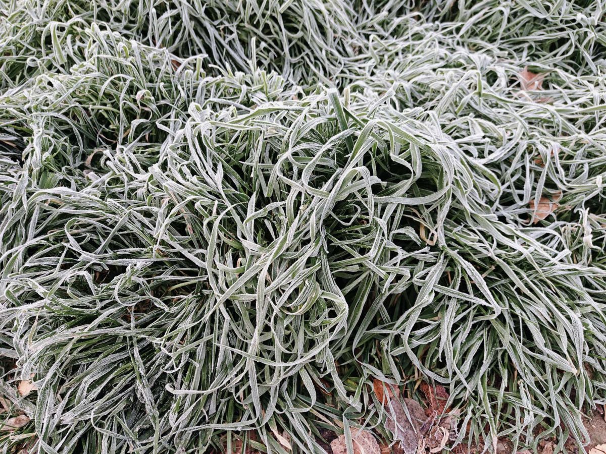 Mi experiencia con el móvil realme GT 7 Pro tras más de un mes de uso 23