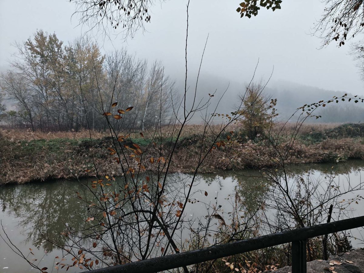 Mi experiencia con el móvil realme GT 7 Pro tras más de un mes de uso 21