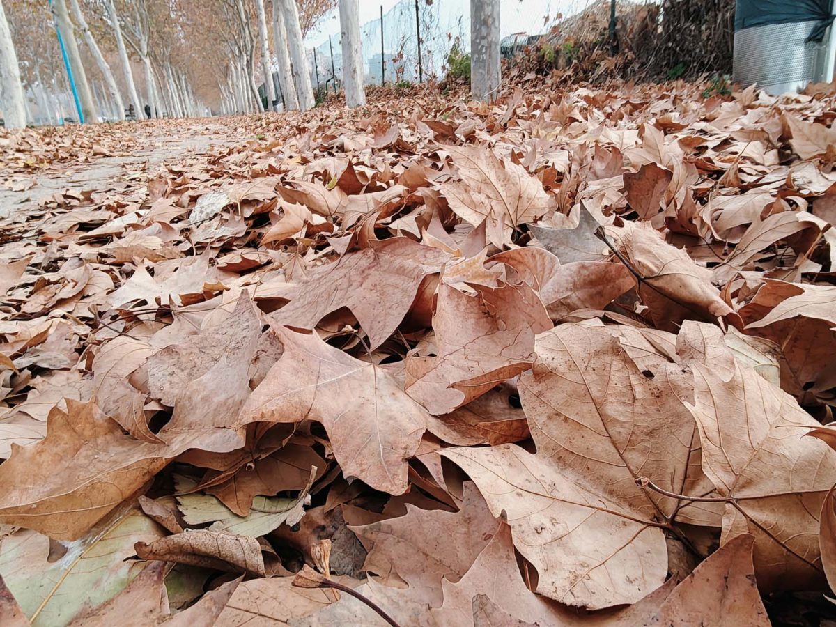 Mi experiencia con el móvil realme GT 7 Pro tras más de un mes de uso 24