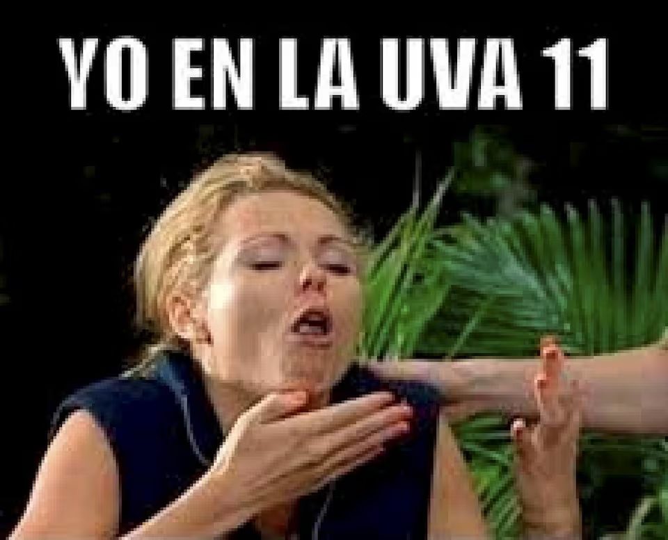 72 mensajes, memes y GIF bonitos y divertidos para felicitar la Nochevieja de 2024 13 image