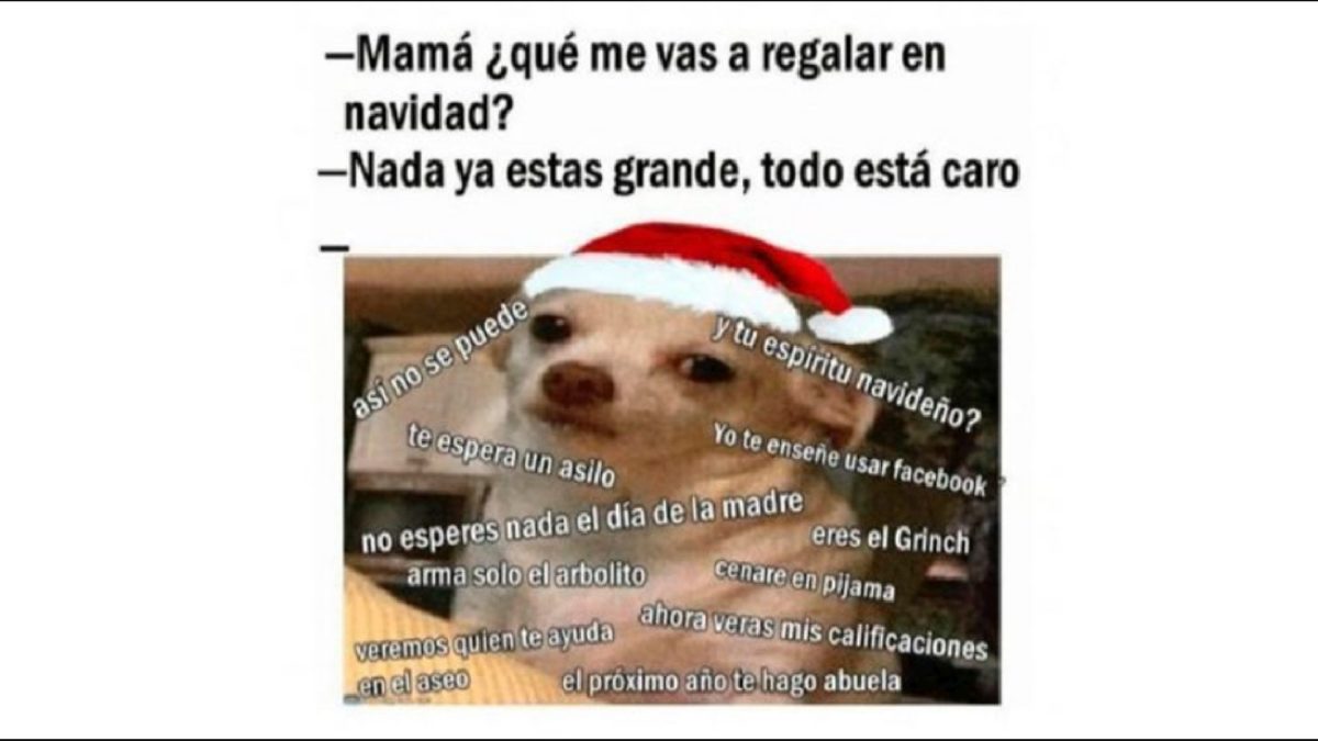 40 GIF y memes de felicitaciones de Navidad para WhatsApp 36 PSQSFMZJXVD4HPJWMO2UHVK5LU