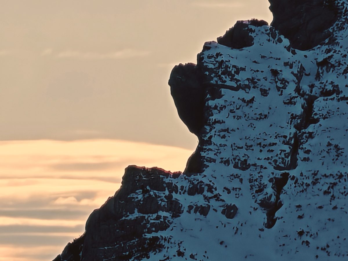 IMG_20250115_152849_edit_12533045022145