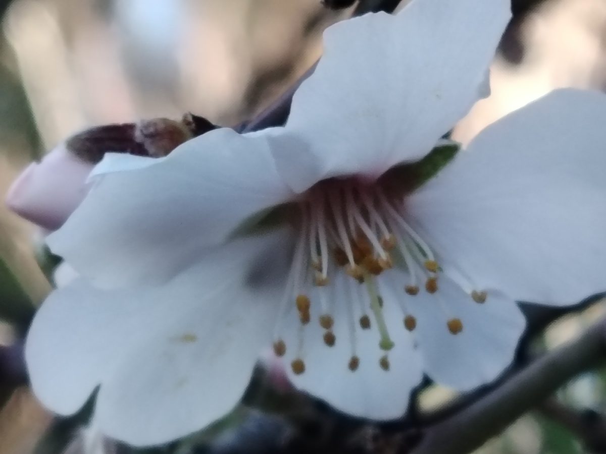 Mi experiencia con el móvil HONOR Magic7 Lite tras un mes de uso 30 Mi experiencia con el móvil HONOR Magic7 Lite tras un mes de uso 29