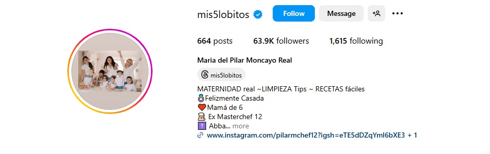 cuentas instagram limpieza del hogar tips