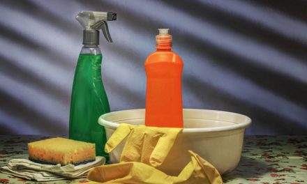 Las mejores cuentas y perfiles de Instagram sobre trucos de limpieza del hogar y cocina