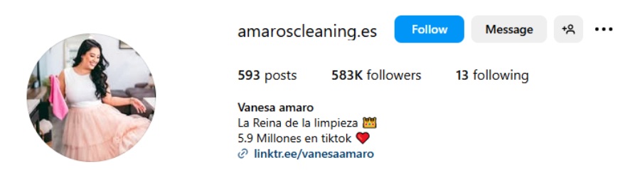 vanesa amaro instagram trucos de limpieza