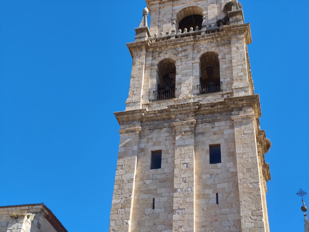 Mi experiencia con el móvil POCO X7 Pro tras tres semanas de uso 22 Cámara POCO X7 Pro 2x