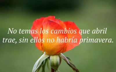 Las mejores frases de bienvenido abril 2025 para compartir por WhatsApp e Instagram