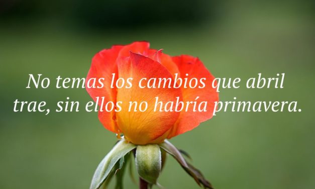 Las mejores frases de bienvenido abril 2025 para compartir por WhatsApp e Instagram