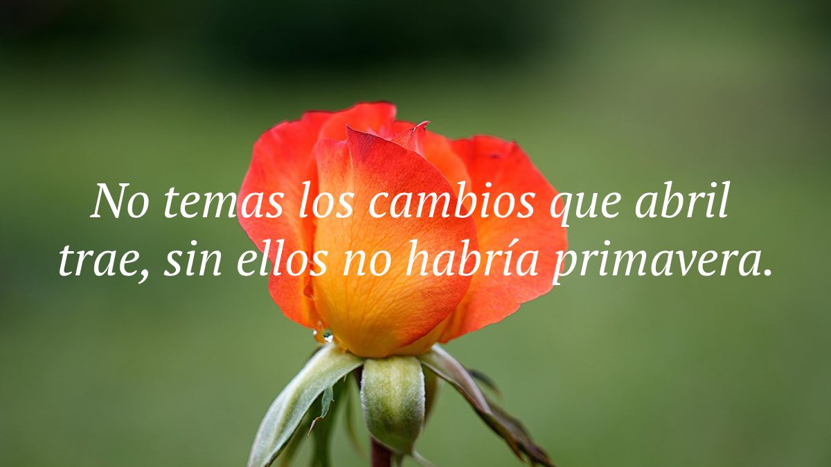 Las mejores frases de bienvenido abril 2025 para compartir por WhatsApp e Instagram 1 frases bienvenido abril