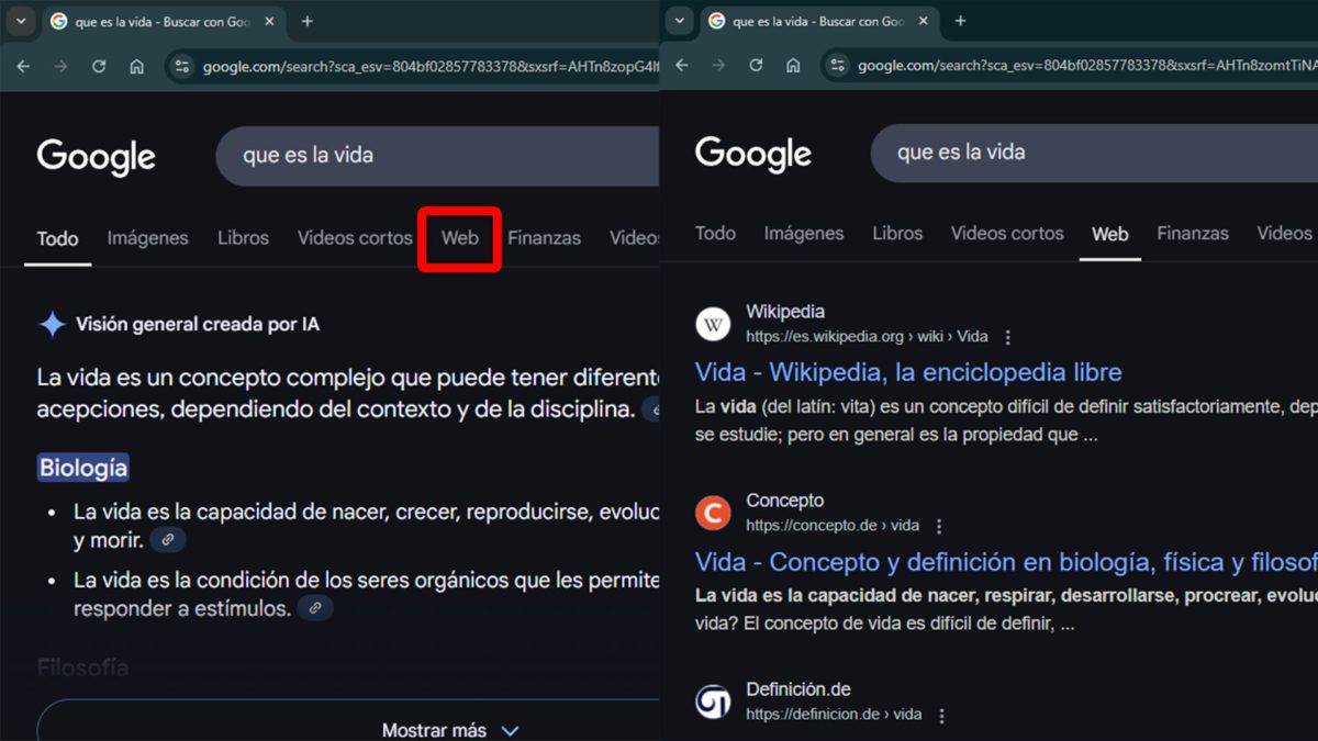 Cómo quitar la IA de Google al navegar y buscar en Internet: guía paso a paso 4 Cómo quitar la IA de Google al navegar y buscar en Internet - Activa la pestaña "Web"