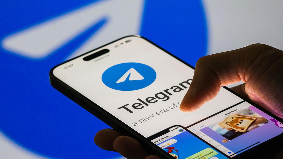 grupos telegram
