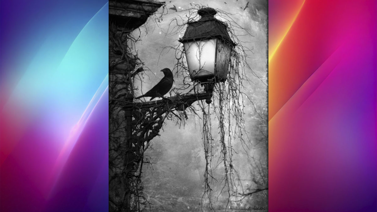 Los 14 estilos de imagen para la IA de ChatGPT que más triunfan en redes sociales 13 Estilos de imagen para la IA de ChatGPT que más triunfan en redes sociales - Gothic Noir
