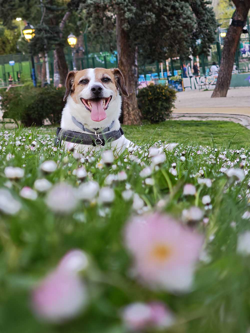 Mi experiencia con Xiaomi 15 Ultra tras un mes de uso 47 xiaomi-15-ultra-galeria-12