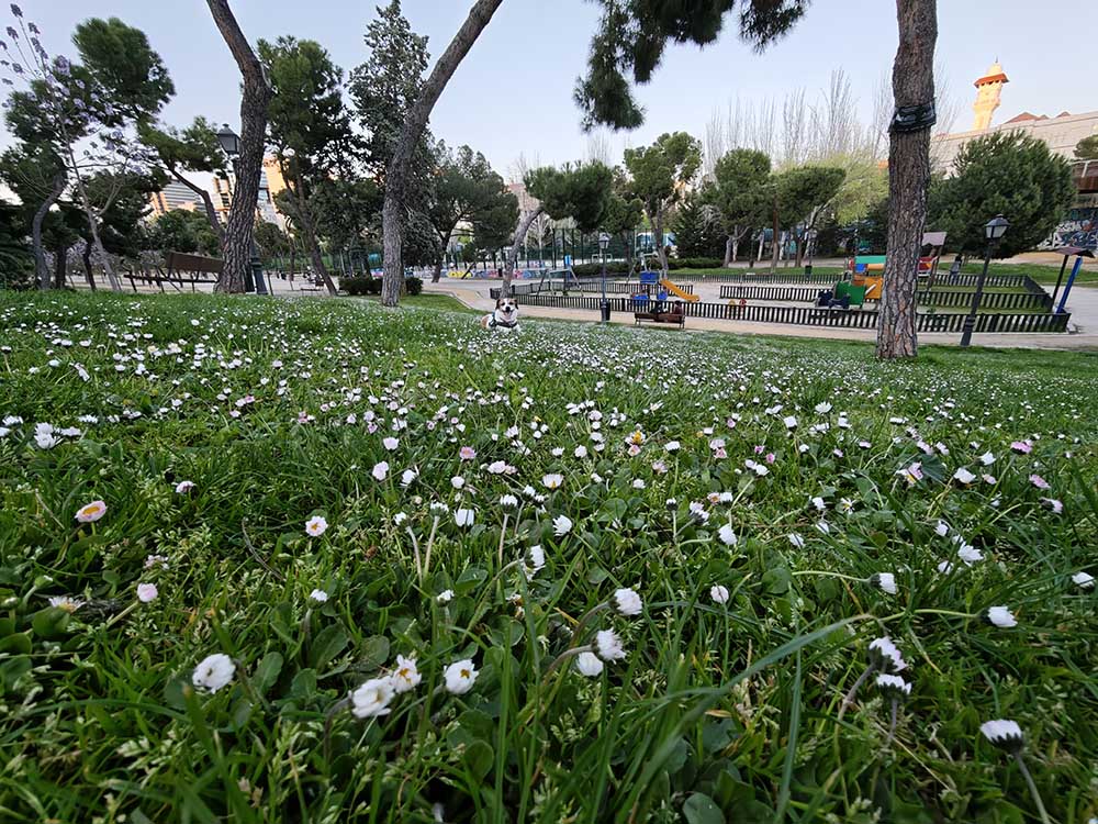 Mi experiencia con Xiaomi 15 Ultra tras un mes de uso 54 xiaomi-15-ultra-galeria-4