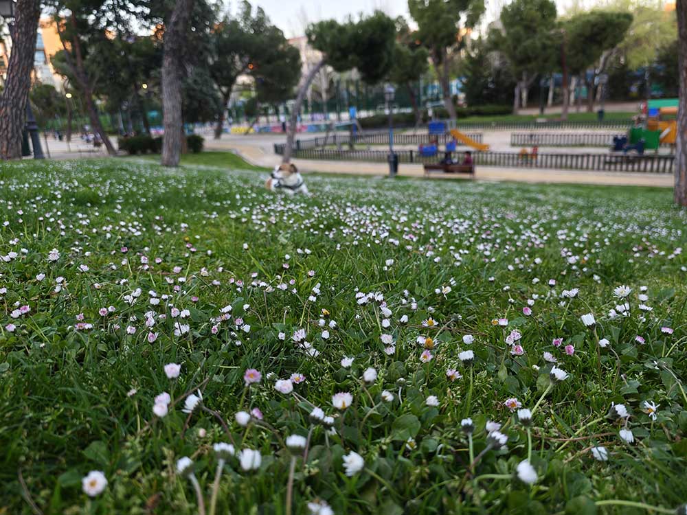 Mi experiencia con Xiaomi 15 Ultra tras un mes de uso 53 xiaomi-15-ultra-galeria-5