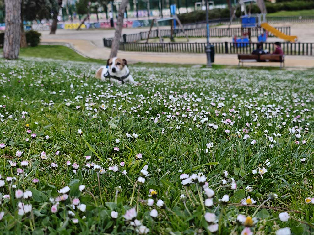 Mi experiencia con Xiaomi 15 Ultra tras un mes de uso 52 xiaomi-15-ultra-galeria-6