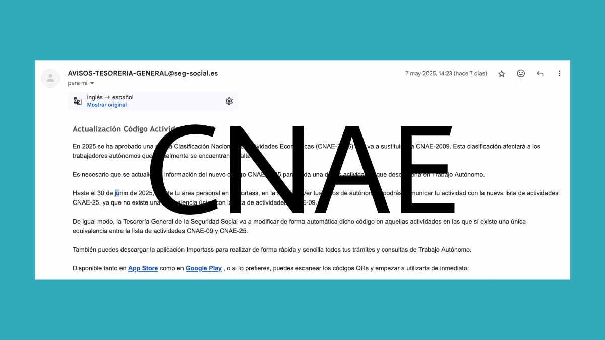 actualizar cnae importass
