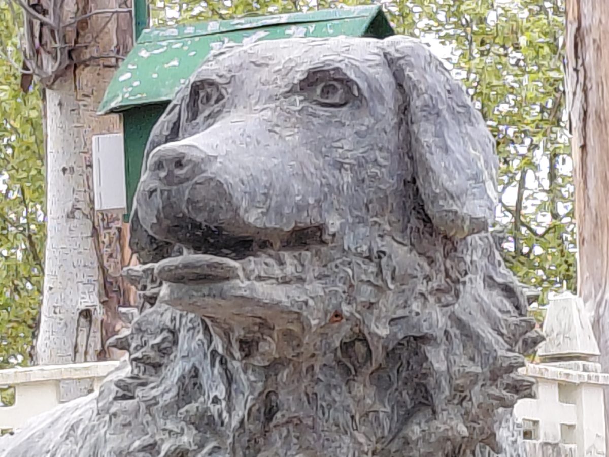 Mi experiencia con el Samsung Galaxy A36 tras tres semanas de uso 34 Cámara Samsung Galaxy A36 zoom 10X
