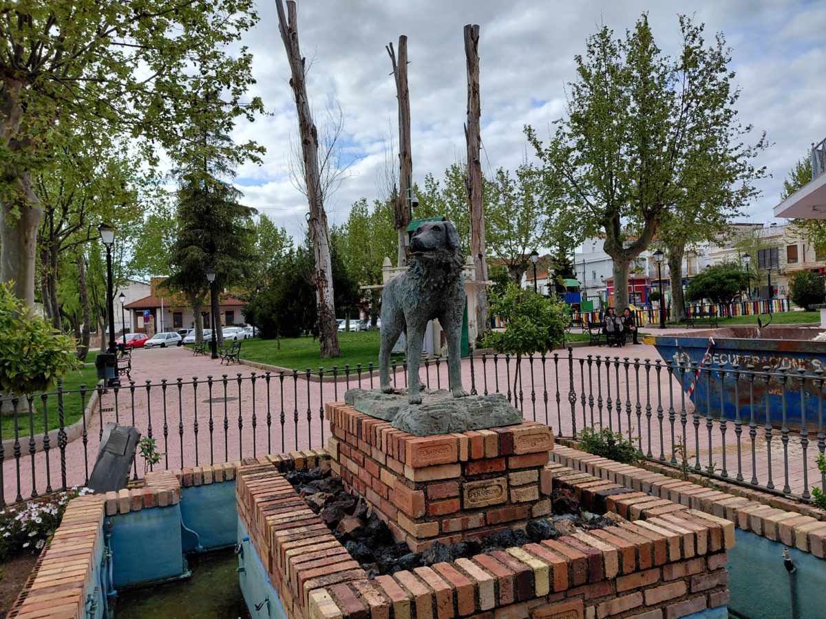 Mi experiencia con el Samsung Galaxy A36 tras tres semanas de uso 31 Cámara Samsung Galaxy A36 zoom 1X