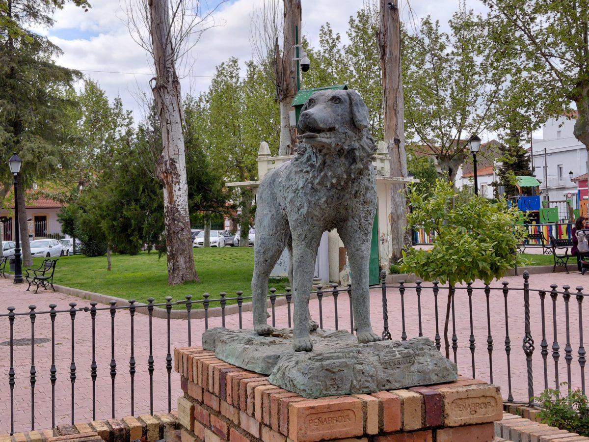 Mi experiencia con el Samsung Galaxy A36 tras tres semanas de uso 32 Cámara Samsung Galaxy A36 zoom 2X