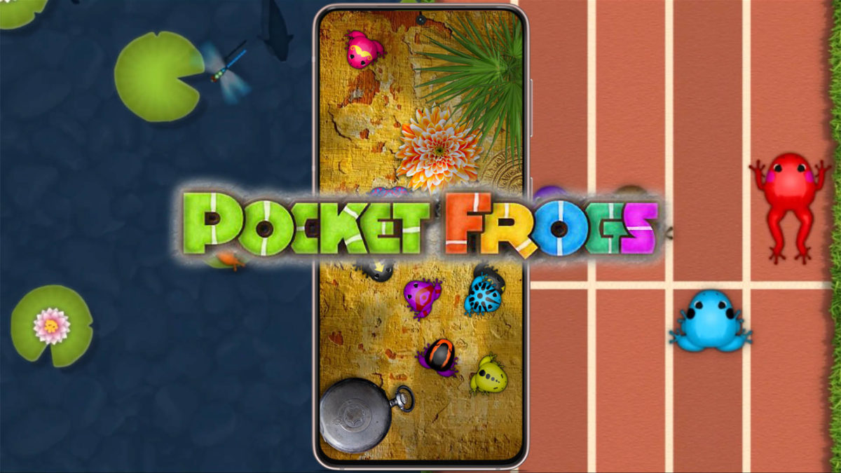 Cómo conseguir nuevas ranas en Pocket Frogs 1 Como conseguir nuevas ranas en Pocket Frogs-1