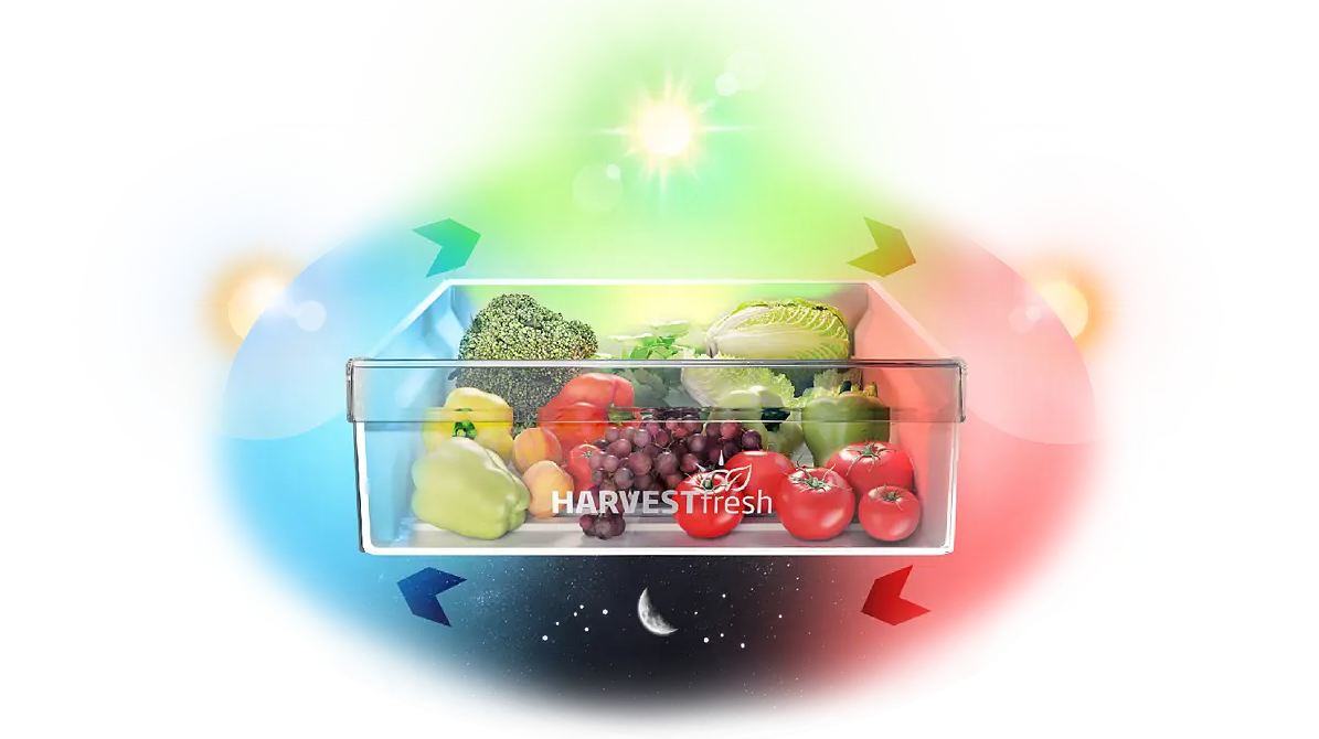 Beko B5RCNE416HXB, un frigorífico combi con sistema No Frost y tecnología HarvestFresh 11 Beko B5RCNE416HXB (6)