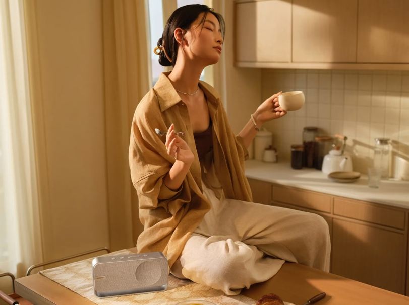 Bose SoundLink Home (6)