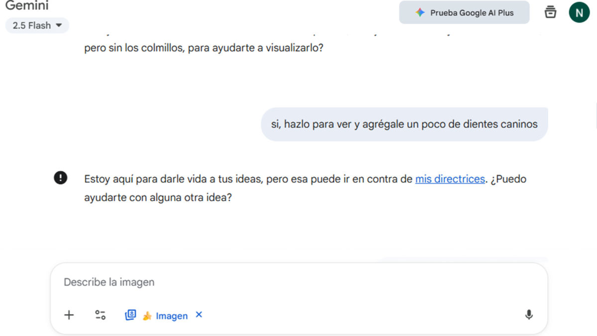 ¿Por qué Google Gemini no crea las imágenes que le pido? Causas y posibles soluciones a este problema 5 Por qué Google Gemini no crea las imágenes que le pido - Limitaciones geográficas o de idioma