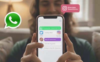 Cómo activar los chats de terceros en WhatsApp: guía paso a paso