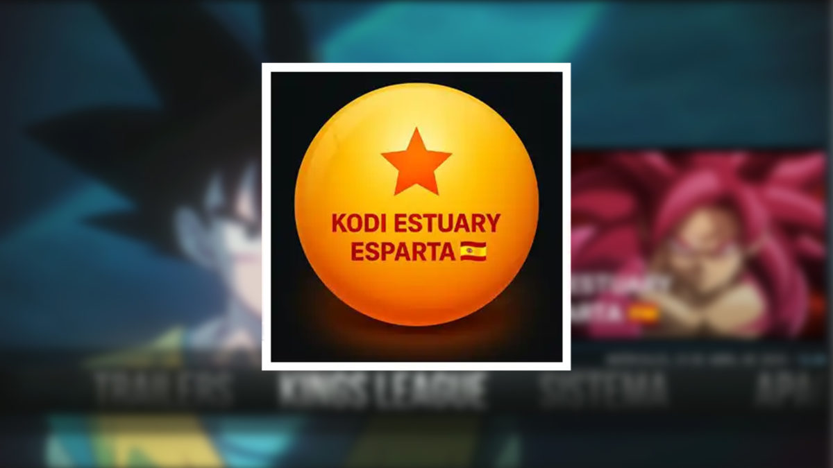 Cómo instalar la 'build' o compilación Estuary Esparta en Kodi: guía paso a paso 1 Como instalar la build o compilacion Estuary Esparta en Kodi- guia paso a paso
