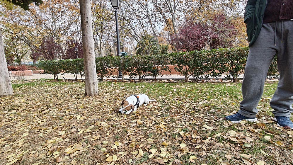Mi experiencia con el realme GT8 Pro tras más de 15 días de uso ¿merece la pena? 29 oplus_136314880