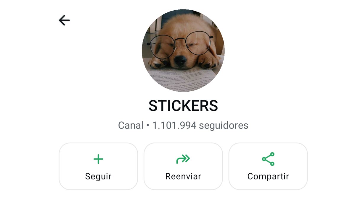 Stickers para WhatsApp con humor, memes clásicos y frases