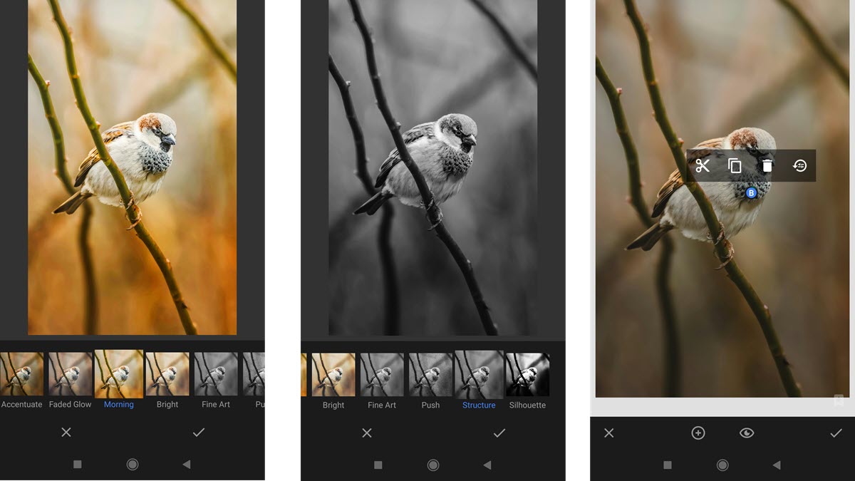 cómo funciona snapseed