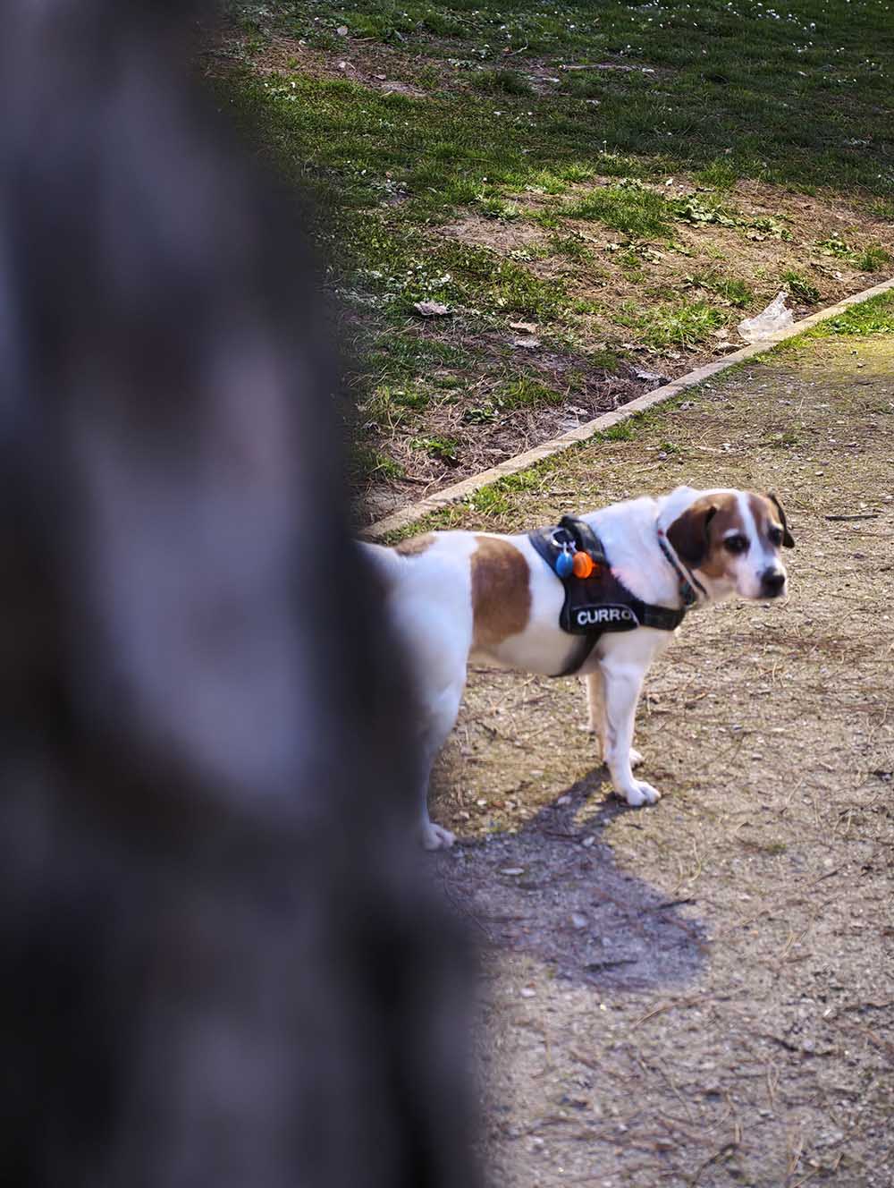 Mi experiencia con el Xiaomi 17 Ultra tras 15 días de uso 10 galeria-xiaomi-17-ultra-4.jpg