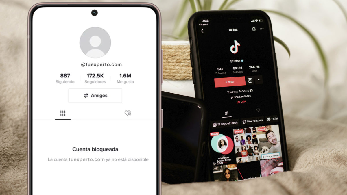 Cómo recuperar mi cuenta bloqueada de TikTok en 2026: todos los pasos a seguir 1 Cómo recuperar mi cuenta bloqueada de TikTok en 2026
