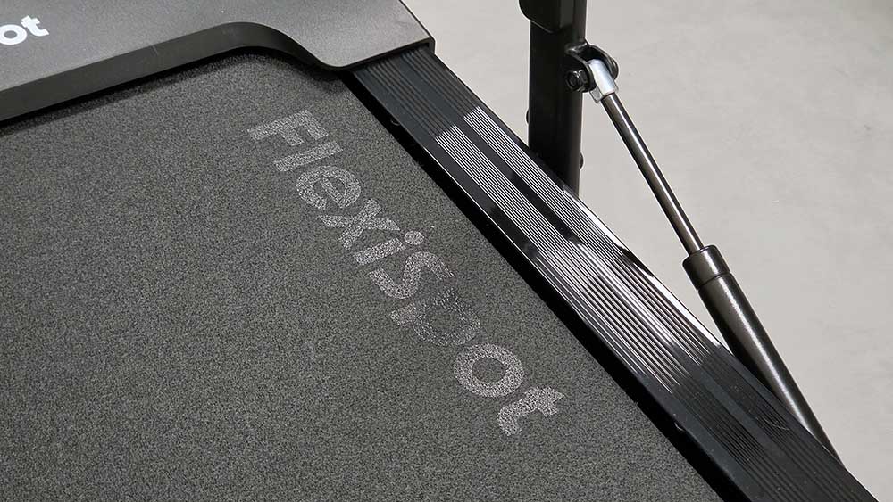FlexiSpot MotionX Pro