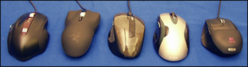 raton4