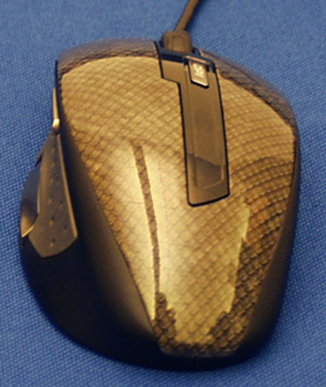 raton3