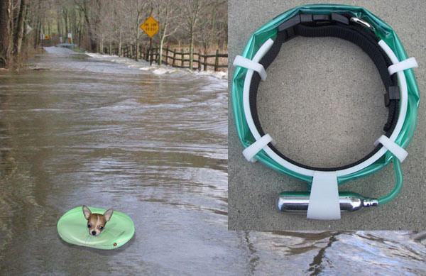 Float-a-Pet, un collar salvavidas para mascotas 4 FloatAPet1