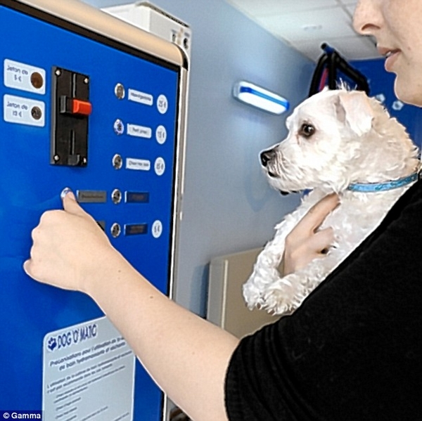 Dog-o-Matic, una lavadora automática para perros