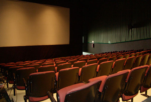 El cine español perdió un tercio de espectadores en 2009